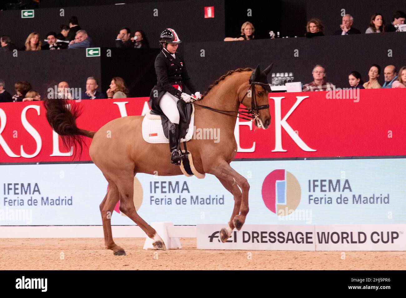 Caroline Chew and Tribiani SGP  during Longines FEI World Cup  2019 on November 30 2019 in Madrid Horse Week, Spain Stock Photo