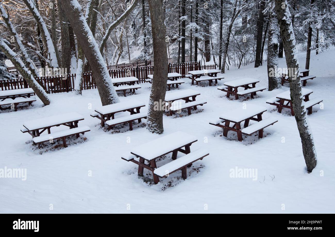 Forest picnic area with food wooden bench covered in snow. Winter snowy season snowstorm. Stock Photo