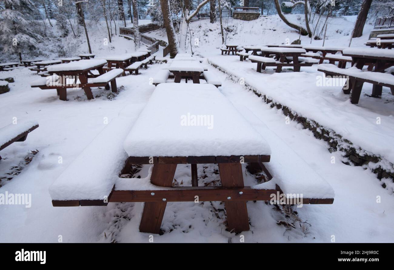 Forest picnic area with food wooden bench covered in snow. Winter snowy season snowstorm. Stock Photo