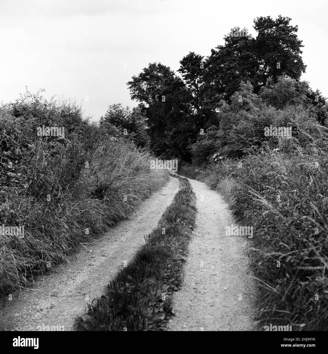 Leatherslade Farm, between Oakley and Brill in Buckinghamshire, hideout used by gang, 27 miles from the crime scene, Tuesday 13th August 1963. Our Picture Shows ... country lane leading up to remote farmhouse used as hideaway by gang in immediate aftermath of robbery.   The 1963 Great Train Robbery was the robbery of 2.6 million pounds from a Royal Mail train heading from Glasgow to London on the West Coast Main Line in the early hours of 8th August 1963, at Bridego Railway Bridge, Ledburn, near Mentmore in  Buckinghamshire, England. Stock Photo