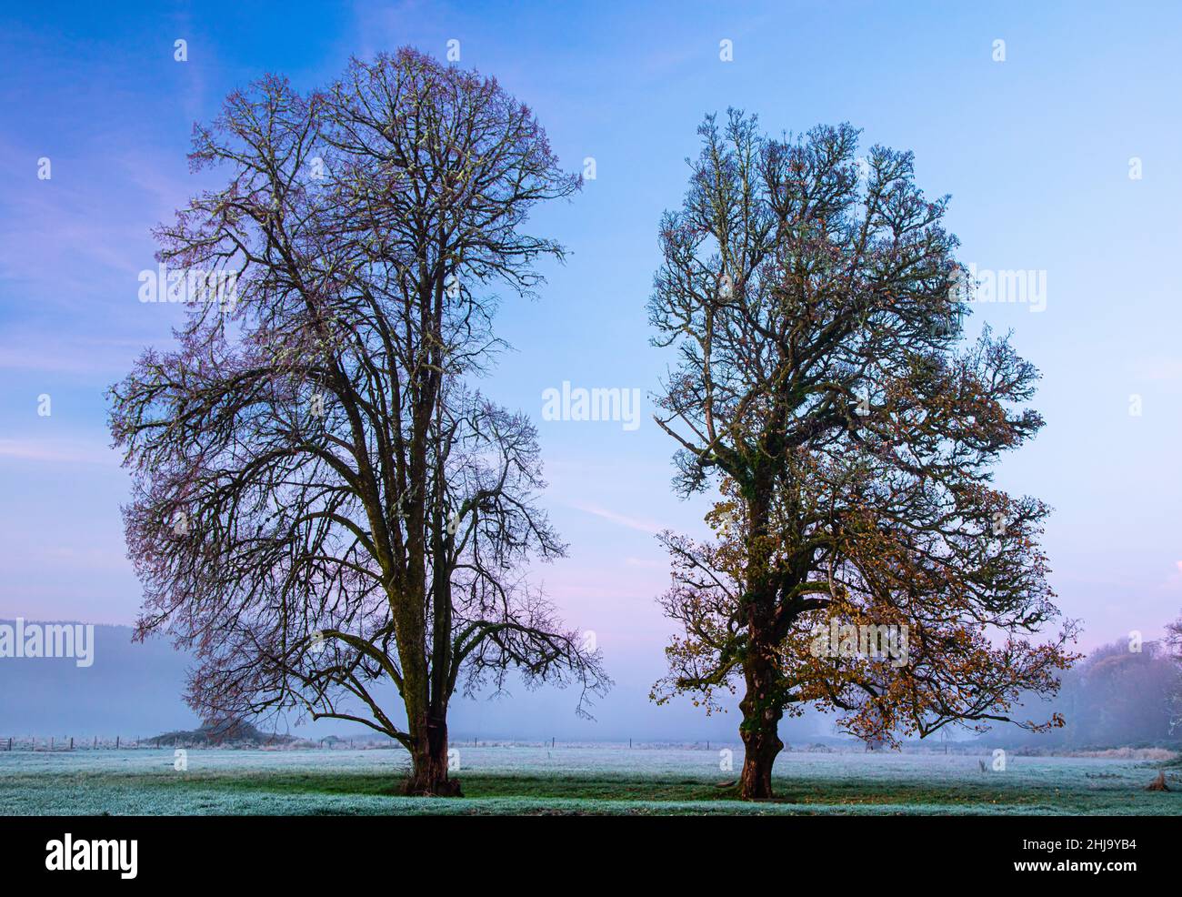 Hardwood trees along river hi-res stock photography and images - Alamy