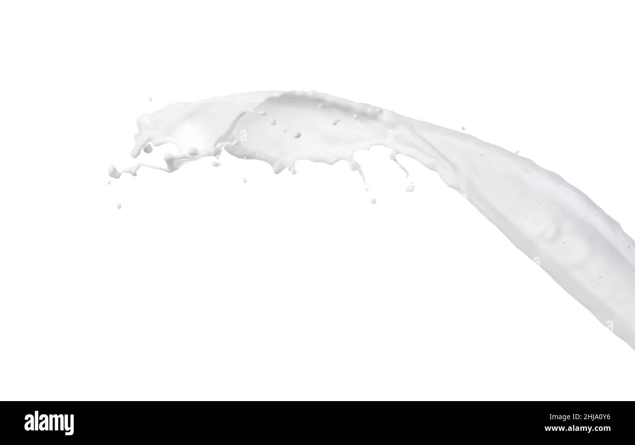 Splash of fresh milk on white background Stock Photo - Alamy