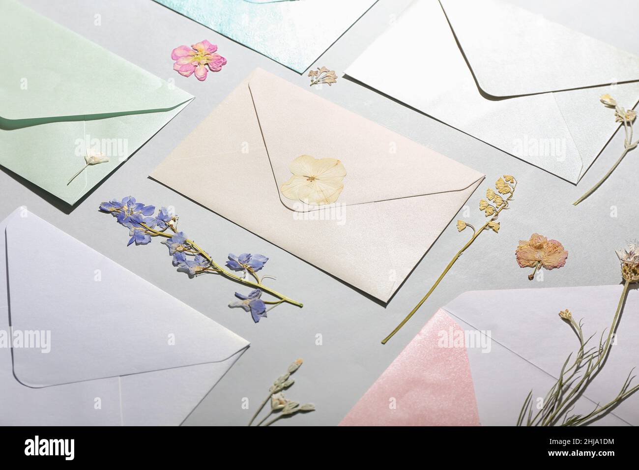 Composition with dried pressed flowers and envelopes on light background Stock Photo