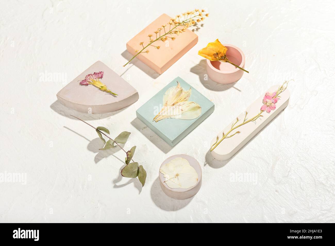 Composition with dried pressed flowers on white background Stock Photo ...