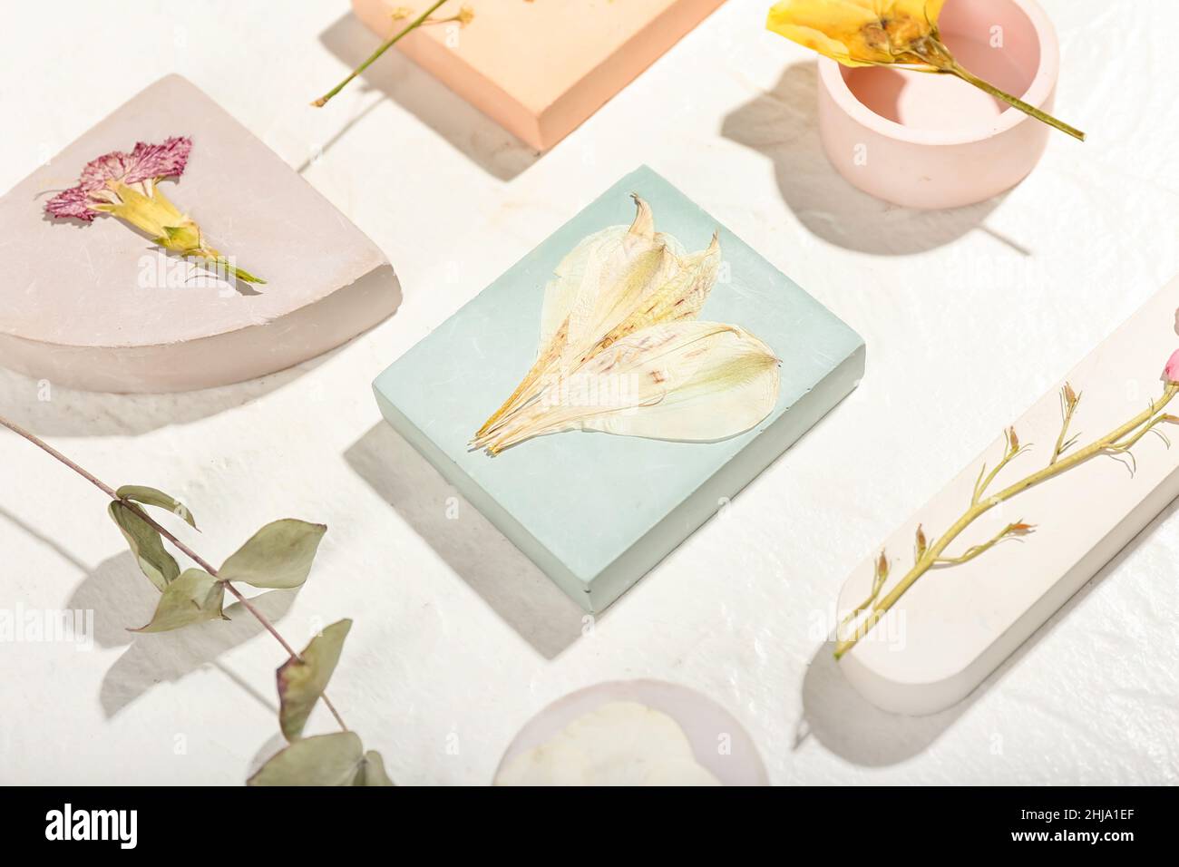 Composition with dried pressed flowers on white background Stock Photo ...