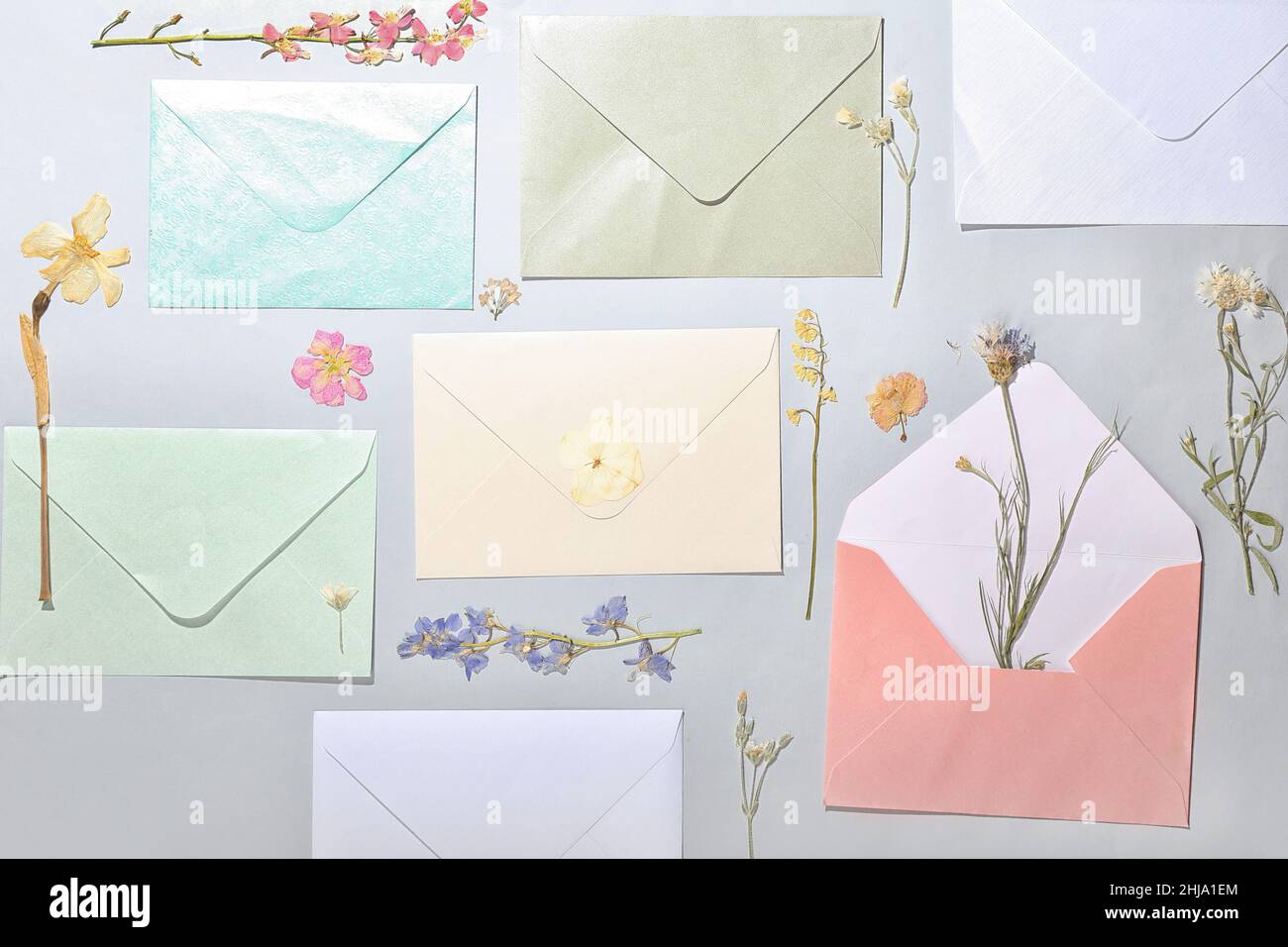 Composition with dried pressed flowers and envelopes on light background Stock Photo
