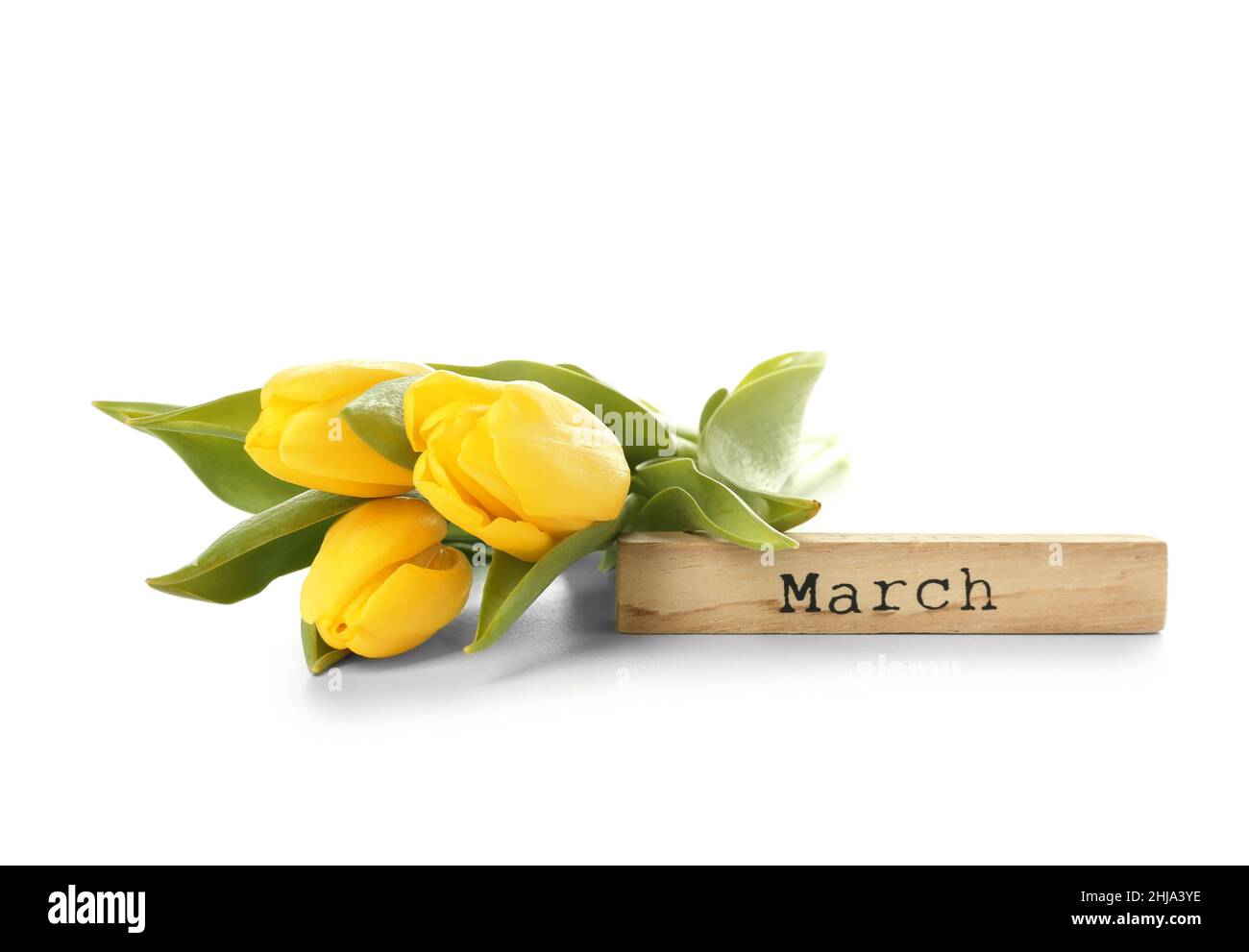 Yellow tulips and wooden block with word MARCH isolated on white ...