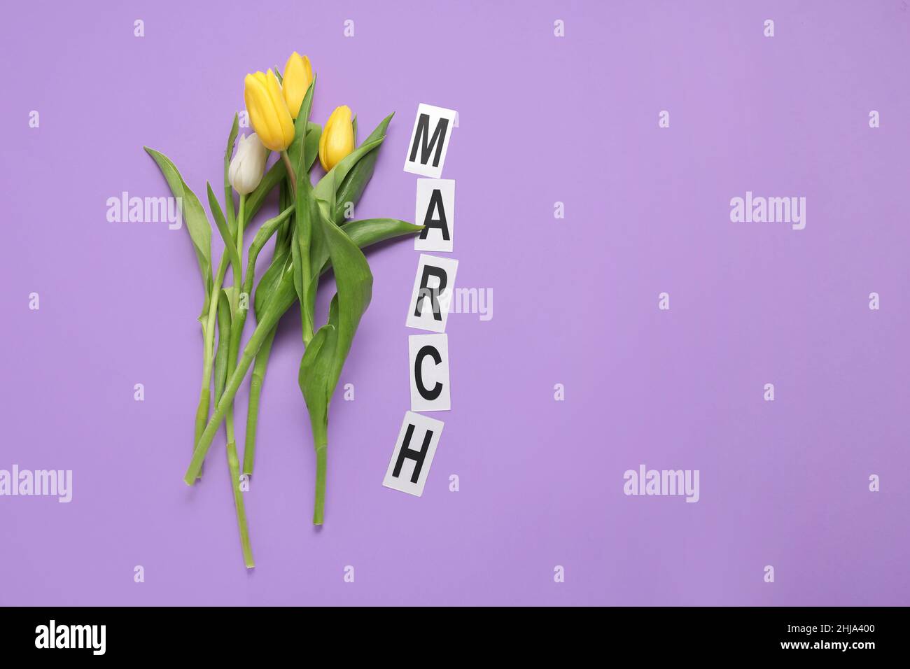 Beautiful tulip flowers and word MARCH on lilac background Stock Photo ...