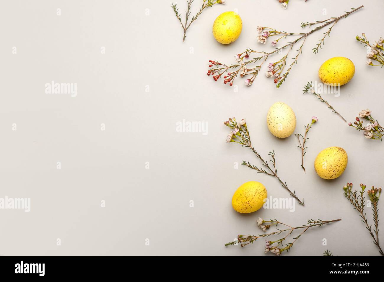 Composition with beautiful Easter eggs and flowers on grey background ...