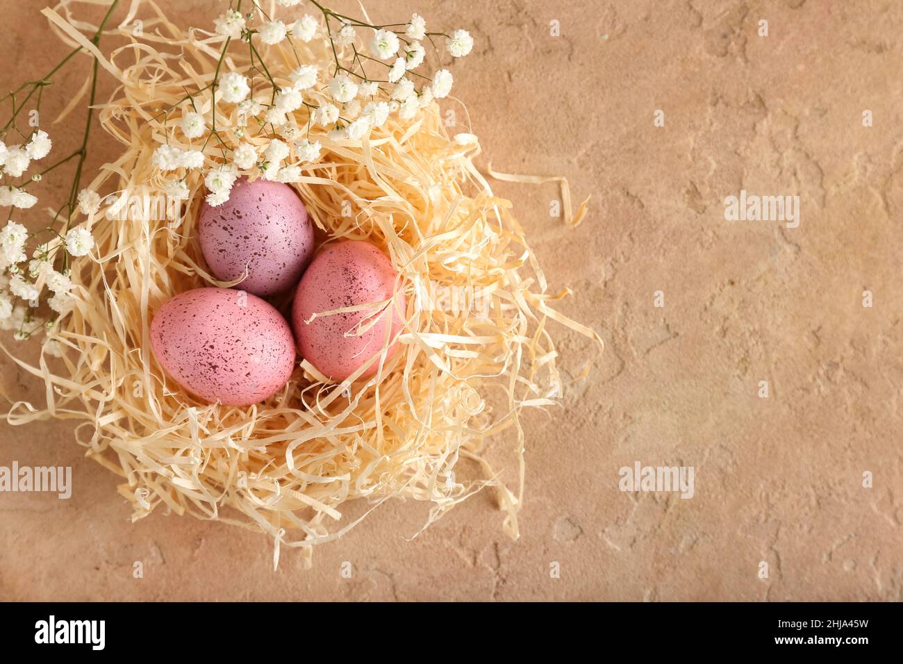 Nest with beautiful Easter eggs and gypsophila flowers on color ...