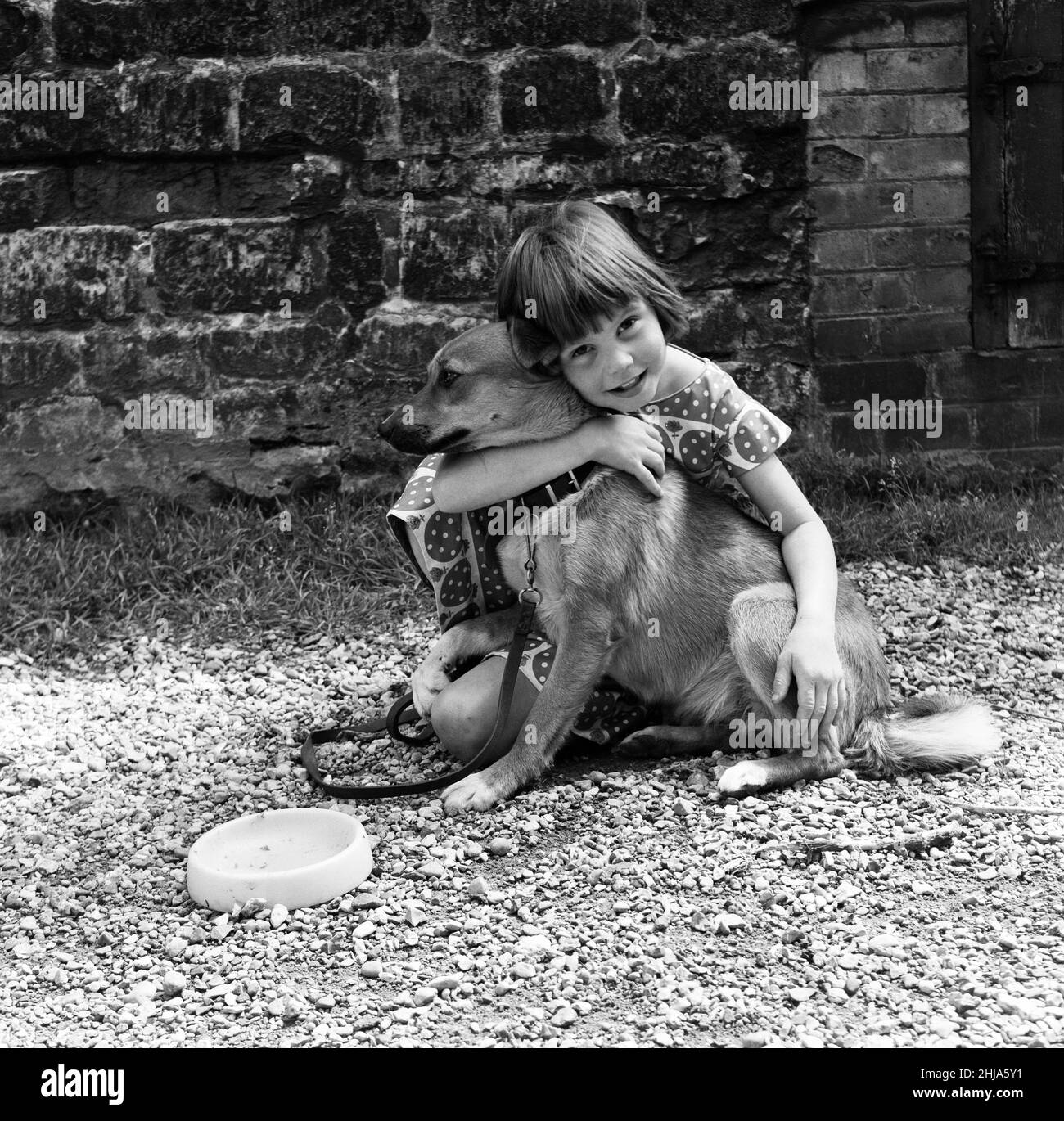 Seven-year-old Sheena Broom with the Corgi cross puppy which was found watching lorries on the A1, near Stamford, Lincs, and is now being looked after by the RSPCA near Peterborough. 14th June 1964. Stock Photo