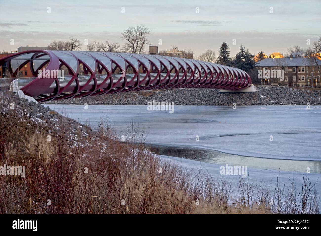 peace bridge Calgary Alberta Stock Photo Alamy