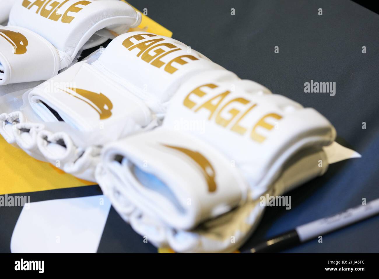 MIAMI, FL- JANUARY 27:  new gloves for the Eagle FC 44 - Spong vs Kharitonov event at FLX Cast Arena on January 27, 2022 in MIAMI, FL, United States. (Photo by Louis Grasse/PxImages) Stock Photo