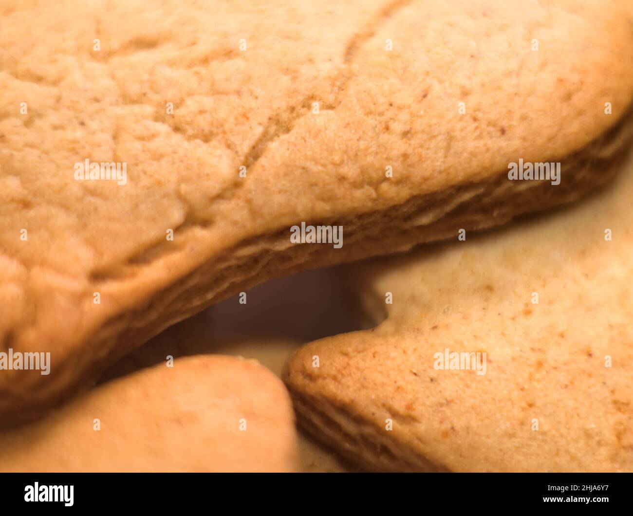 Tasty Brown Gingerbread Cookie Stars Macro Closeup Stock Photo