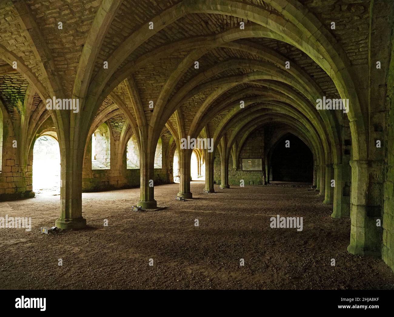 receding vaulted arches of cellarium or undercroft at Fountains Abbey