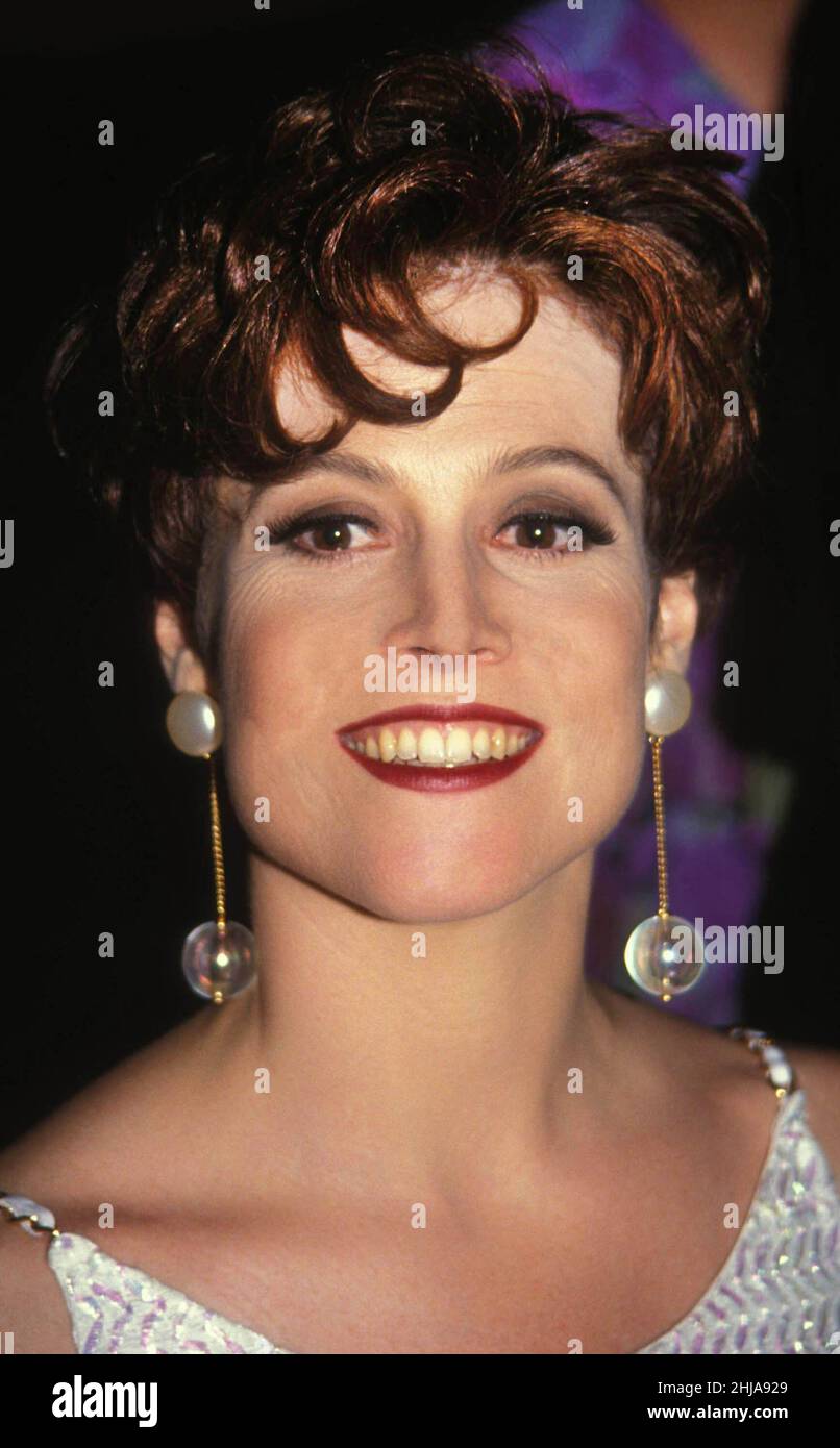 Sigourney Weaver 1992 Photo by Adam Scull/PHOTOlink Stock Photo