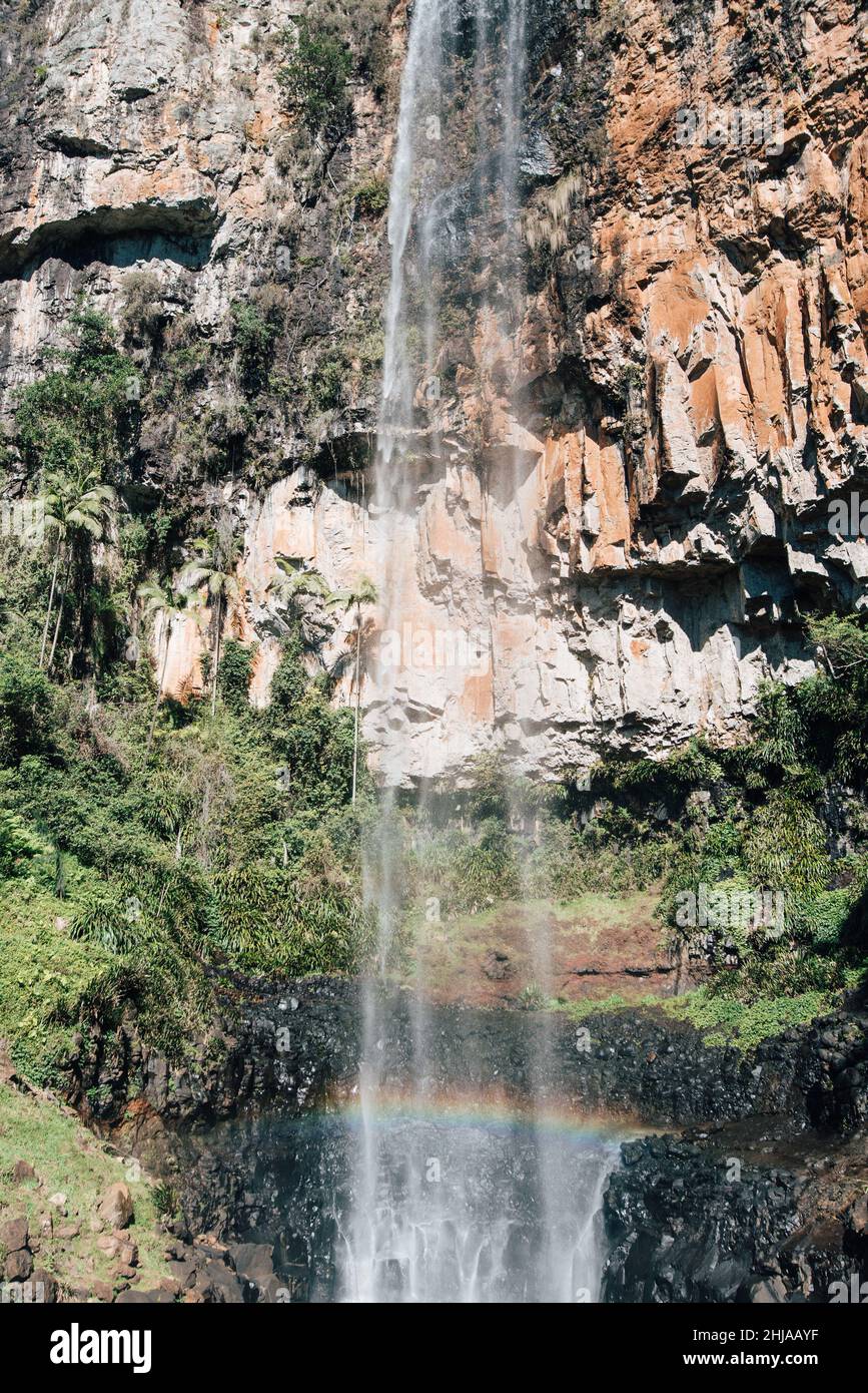 Purling Brook Falls, Gold Coast Hinterland, Australia Stock Photo