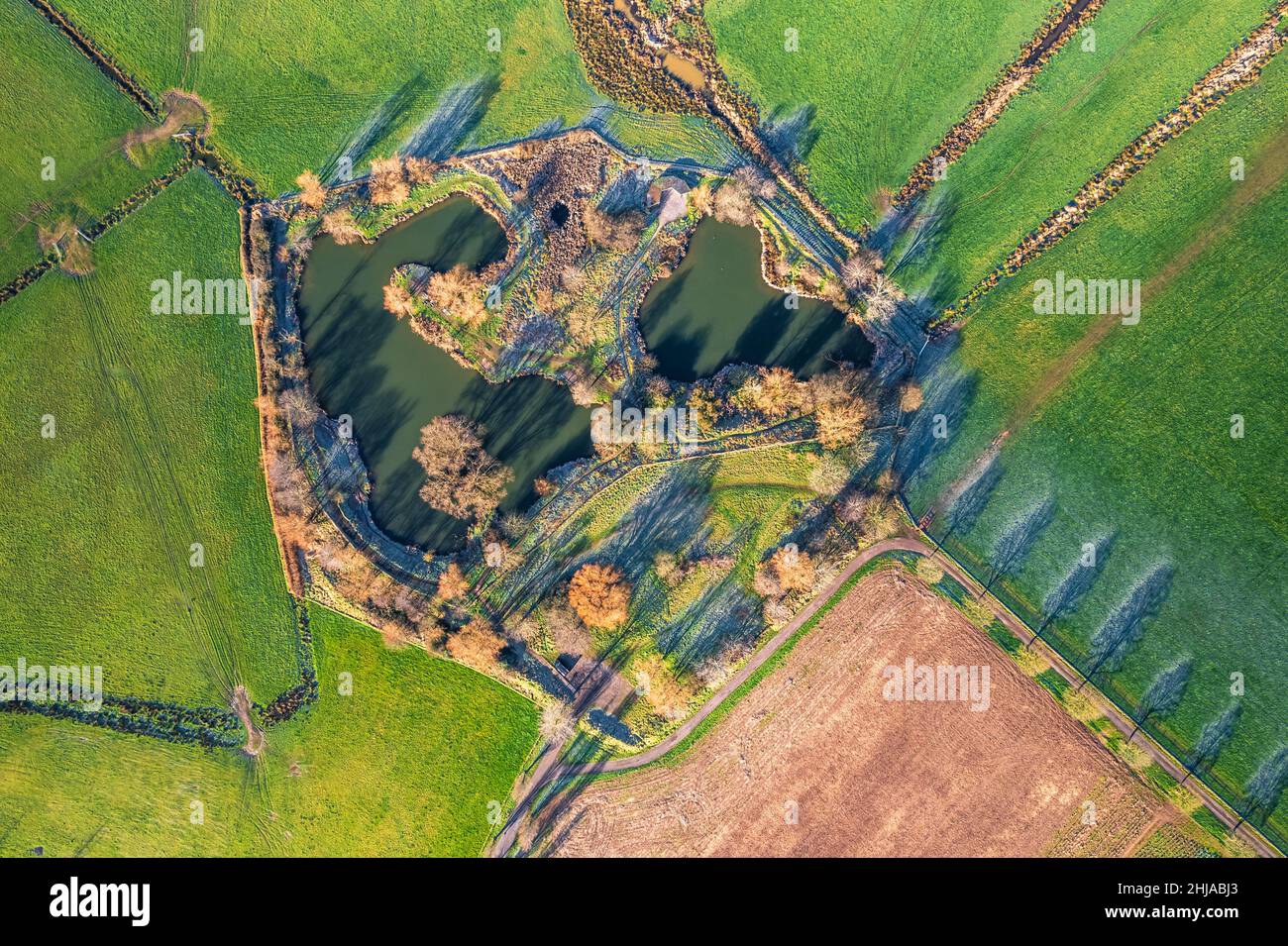 Top Dawn view over Ponds, Fields and Meadows, Topsham, Devon, England
