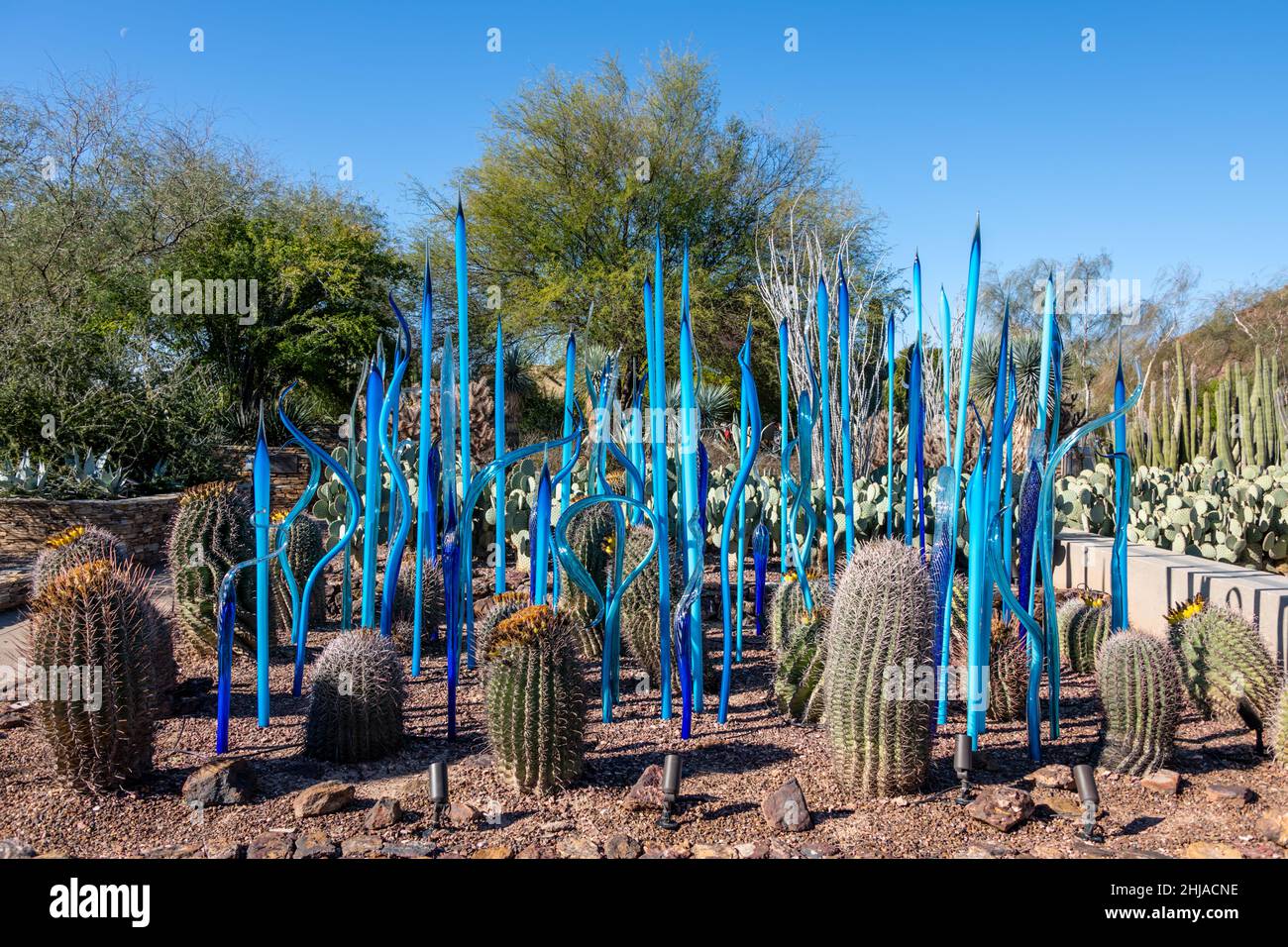 Chihuly In The Garden, Blue Birch Reeds and Scorpion Tails, 2021 Stock Photo