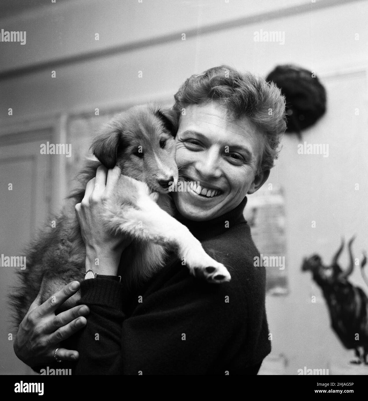 Tommy Steele is seen photographed with a birthday present from his wife. It's a Collie which Tommy has named Kipps (and thats the name of the show in which Tommy stars at the Cambridge Theatre, London.) 18th December 1963. Stock Photo