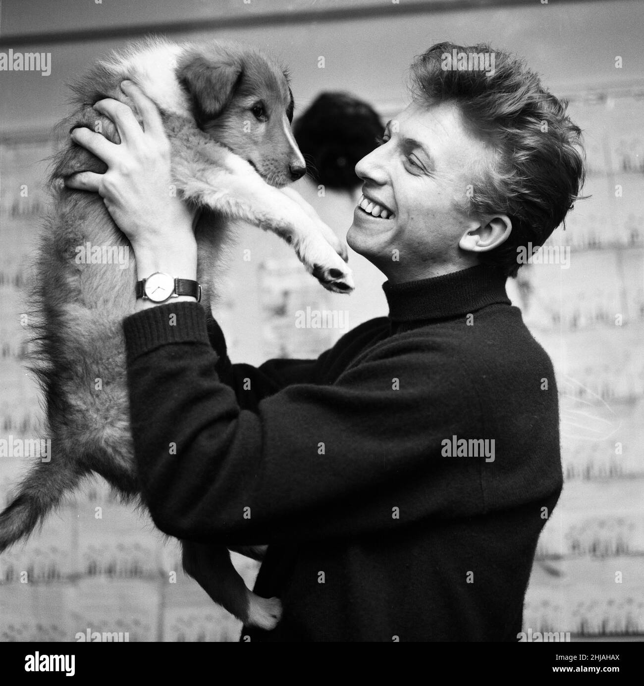 Tommy Steele is seen photographed with a birthday present from his wife. It's a Collie which Tommy has named Kipps (and thats the name of the show in which Tommy stars at the Cambridge Theatre, London.) 18th December 1963. Stock Photo