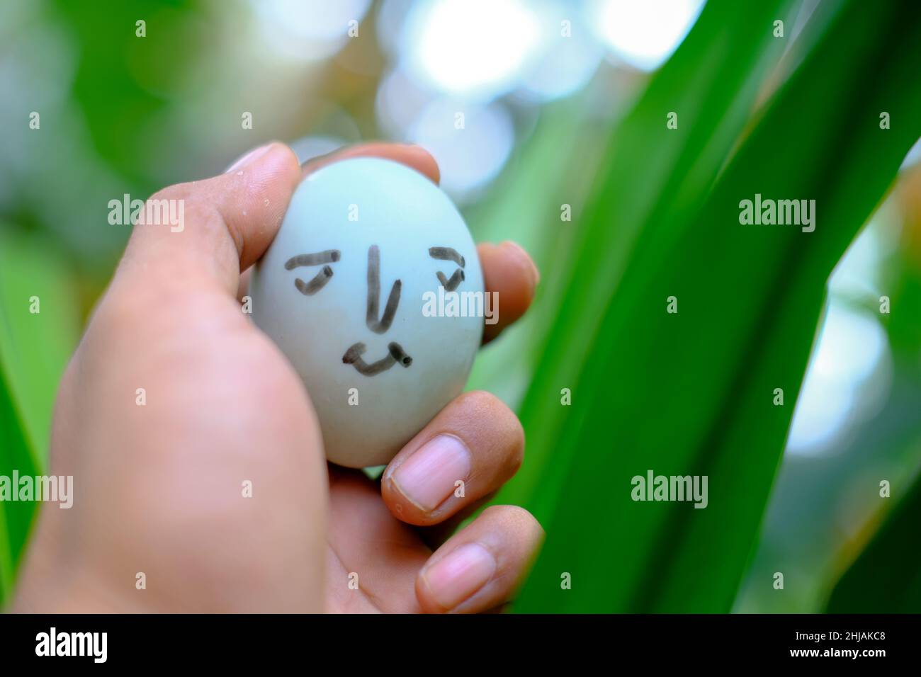 Duck egg in man's hand on blurred background Stock Photo