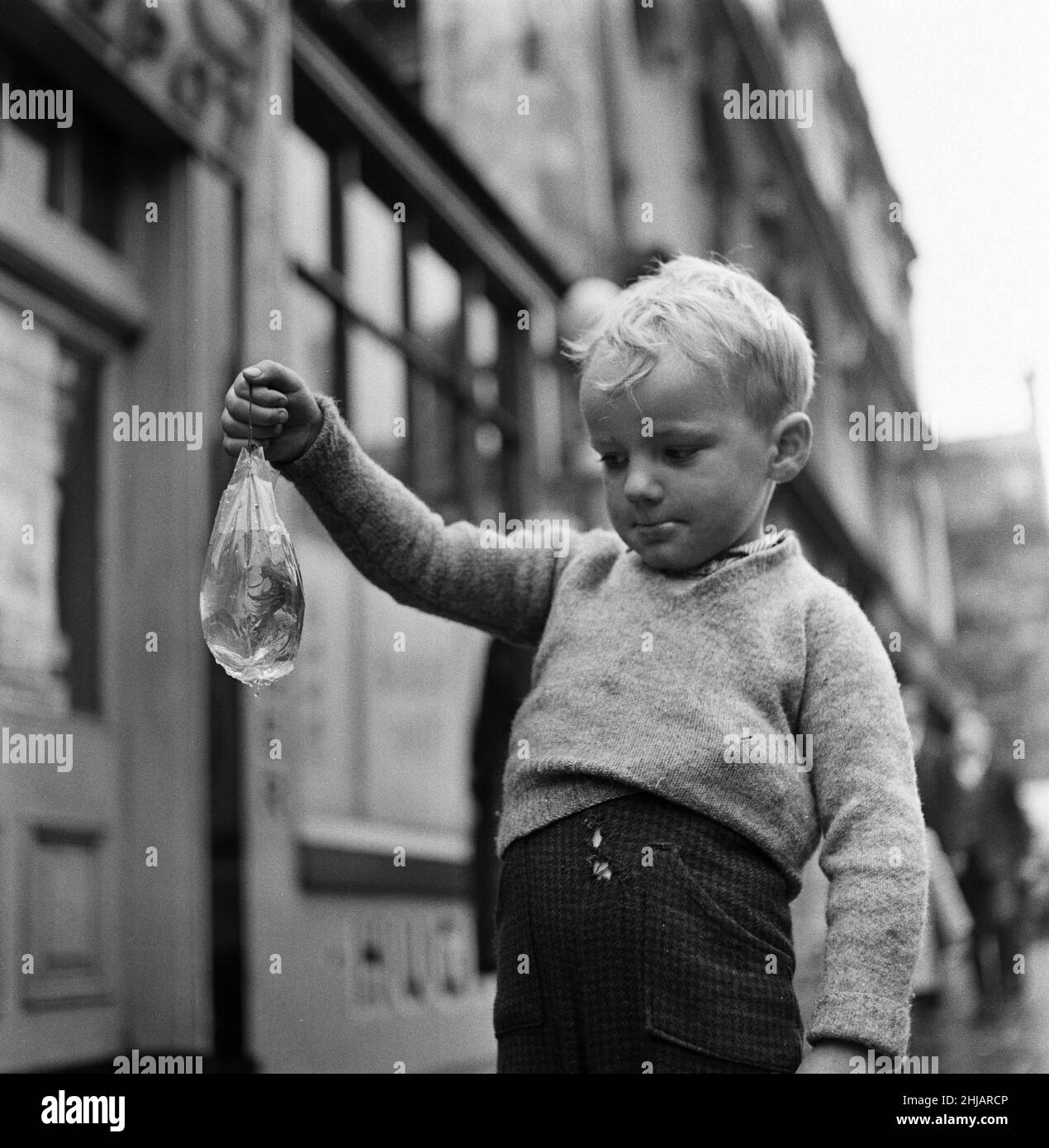 Three year old Andrew Anderson, who settled for a goldfish at the