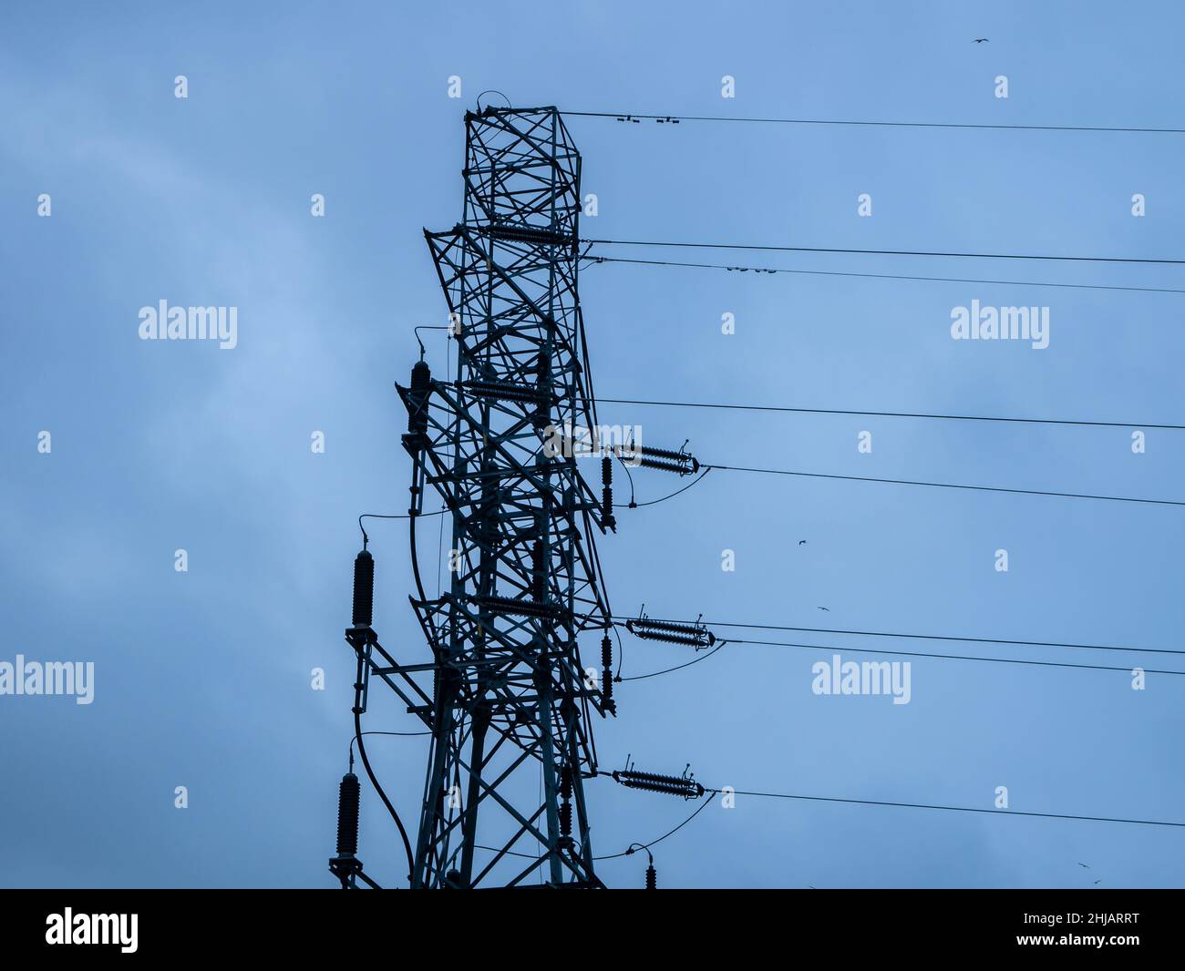 Power lines on background of blue sky Stock Photo