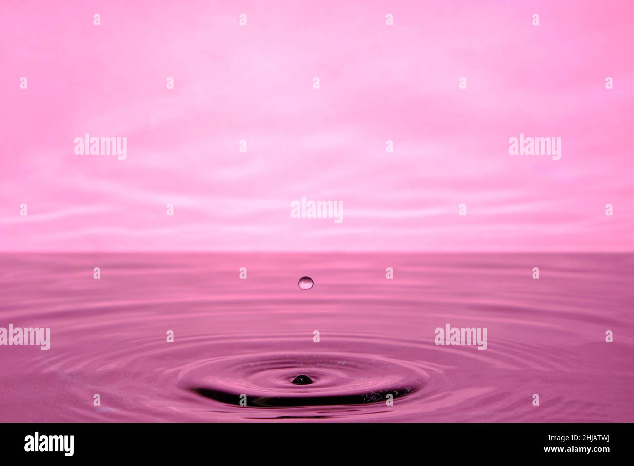 Splash water after drop falls.Pink abstract background with drop in ...