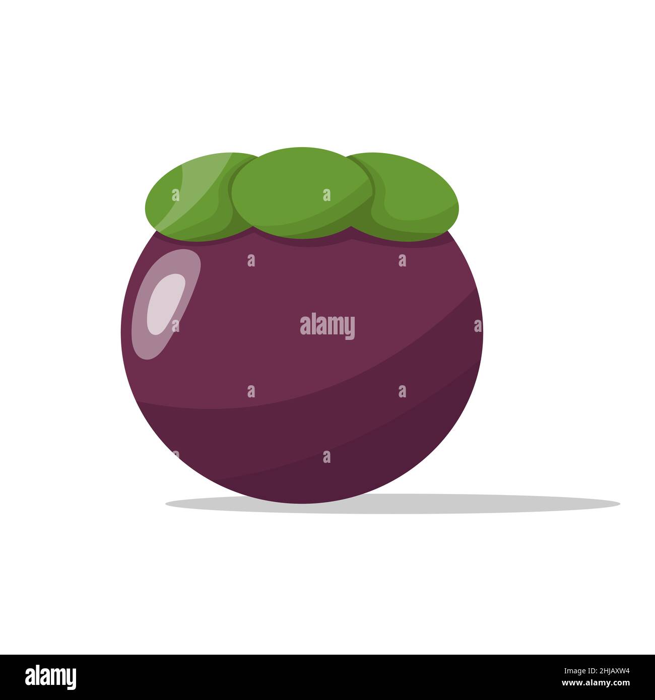 cartoon mangosteen fruit flat design. vector illustration Stock Vector