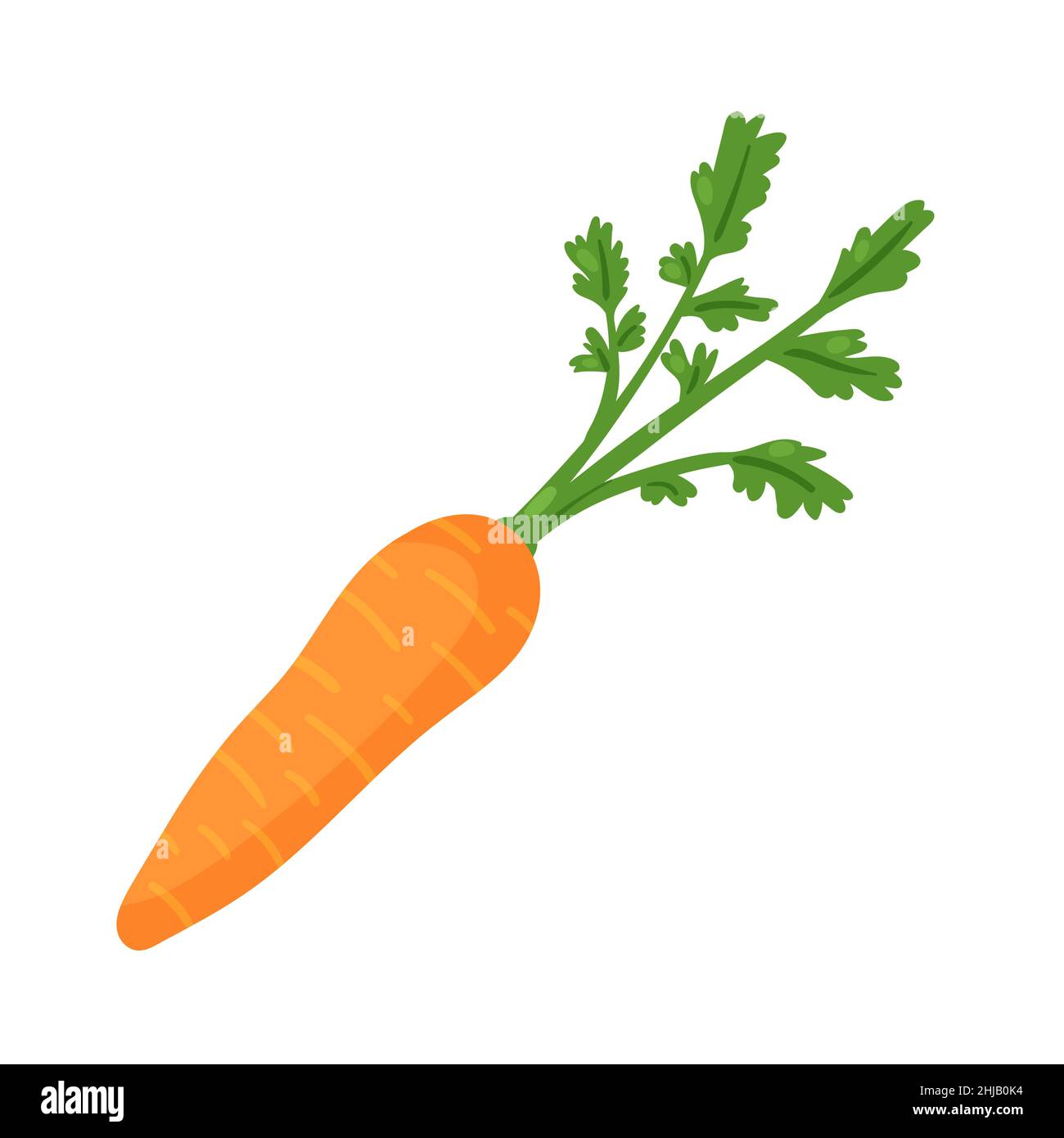 Carrot vegetable fresh veg product, organic farm food production vector illustration. Cartoon healthy orange raw carrot with leaves for vegetarian cuisine isolated on white Stock Vector