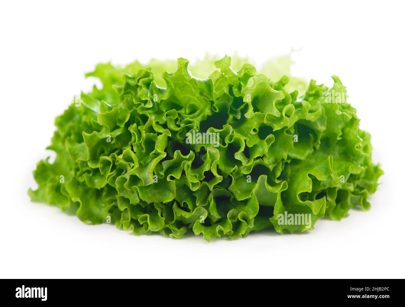 Freshness green leaf lettuce on white background Stock Photo Alamy