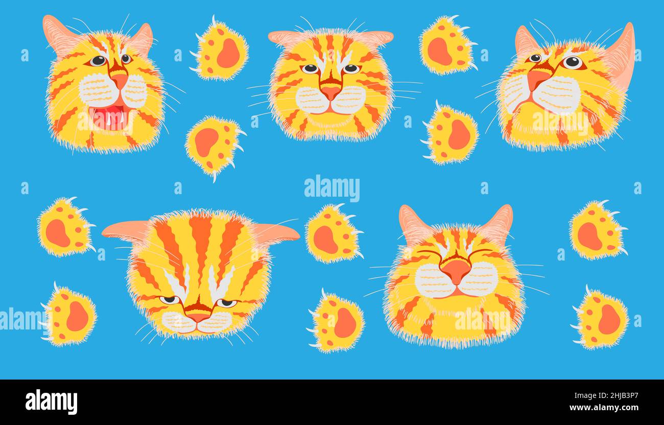 different element cat head funny and cute emotion and footprint. vector illustration eps10 Stock