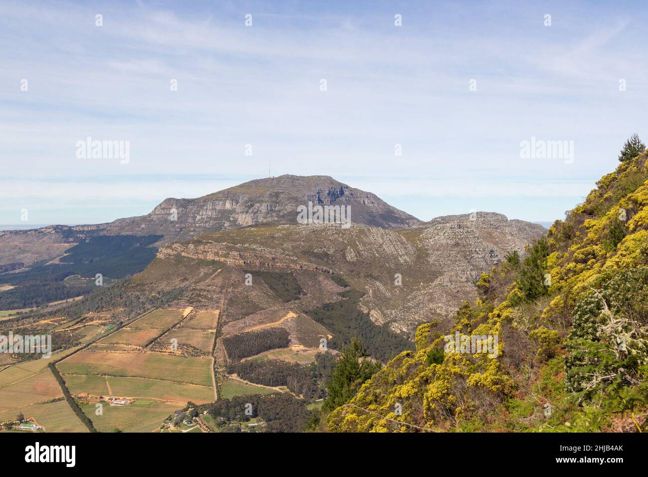 Landscape on the Constantia Nek, Table Mountain, Western Cape, South