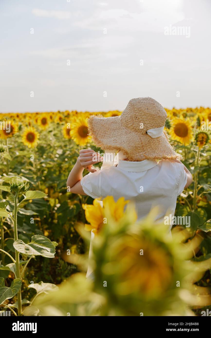 woman portrait looking in the sunflower field unaltered Stock Photo - Alamy
