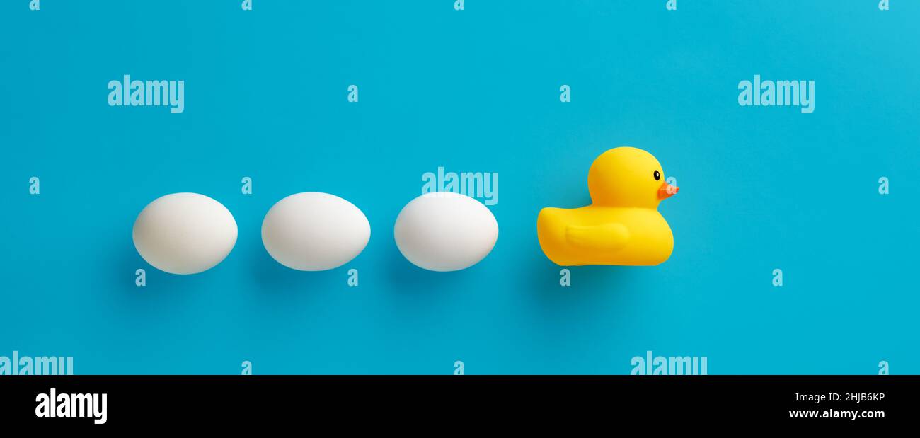 Toy rubber duck lays her eggs on blue background. Duck reproduction concept. Stock Photo