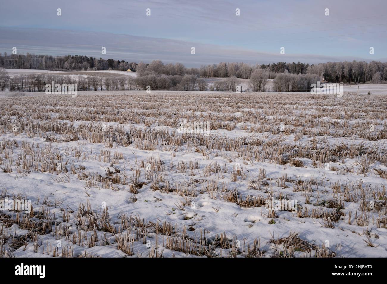 Field in the winter hi-res stock photography and images - Alamy