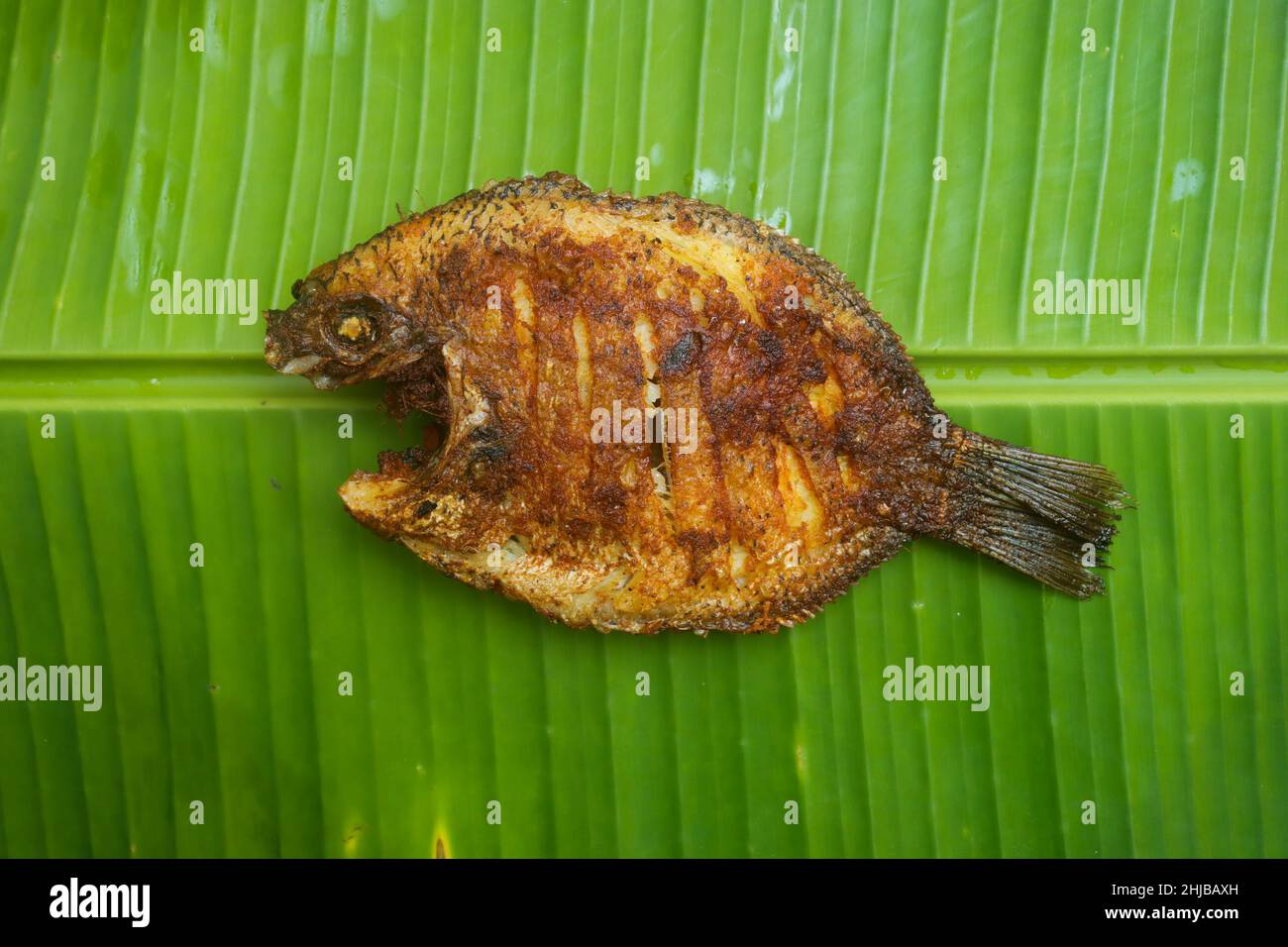 Karimeen fry kerala fish fry Stock Photo Alamy