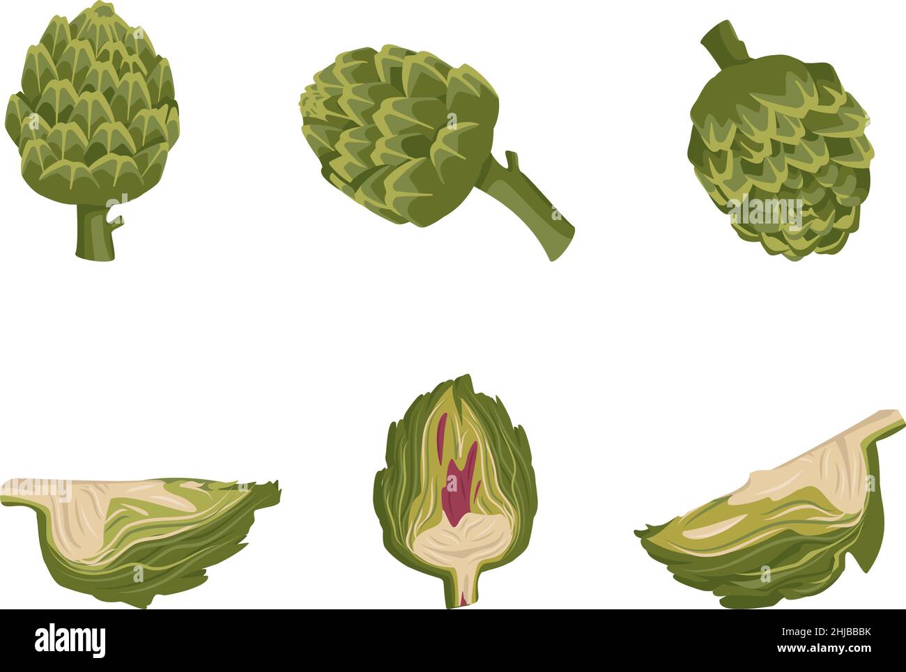 Set of green artichoke icons. Whole and part healthy vegetables and leaves, harvesting. Delicious food for salad and cooking. Vector flat illustration Stock Vector