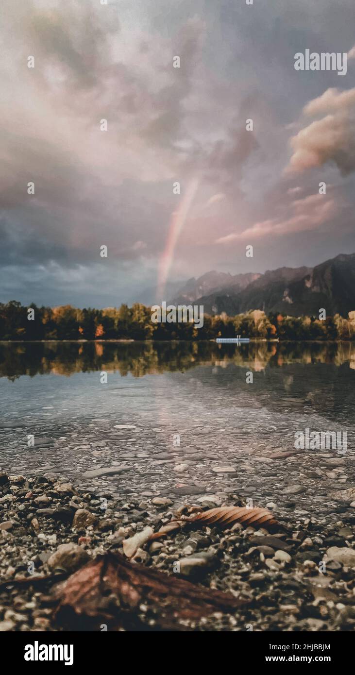 Vertical shot of a lake surrounded by trees under a cloudy sky with a ...