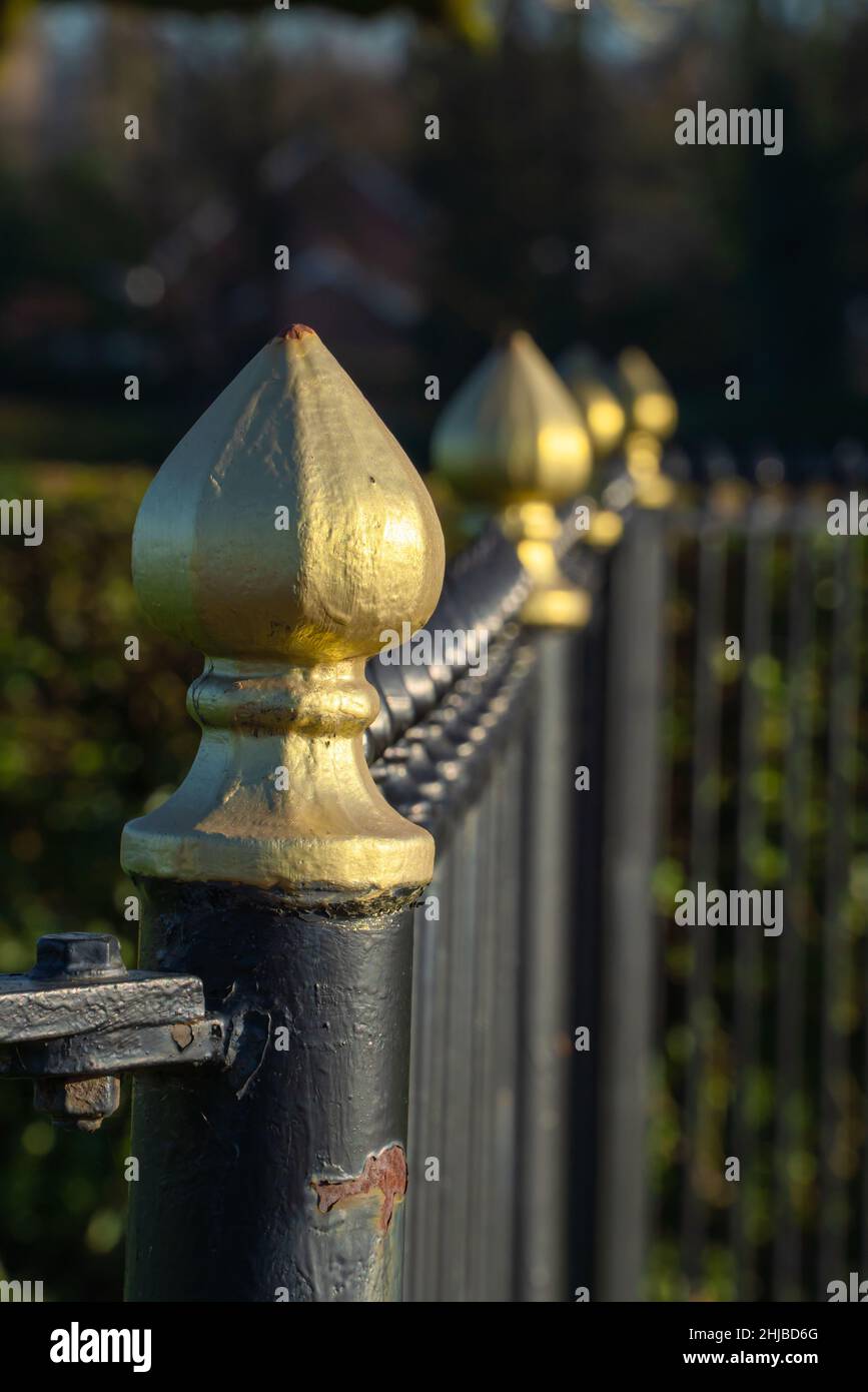 Steel fence, park fence, railings, gold caps, finuels, black paint, gold paint,  rust, distinctive, noble, cast, iron fence, panels, gates, ornamental Stock Photo