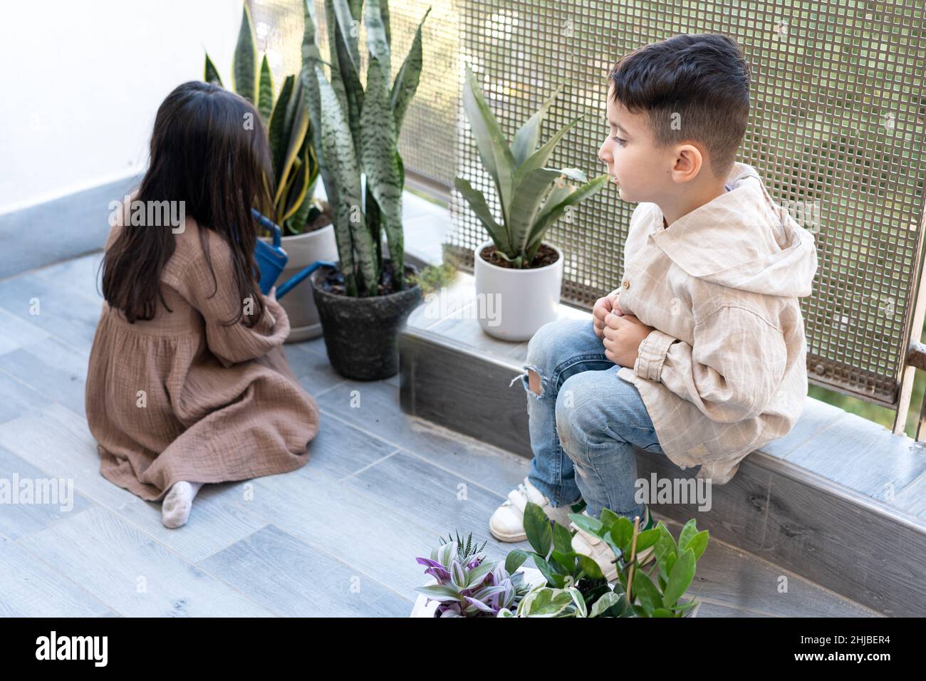 Boy and girl gardening. Little girl is watering flowers on the balcony at home. Indoor care, biophilia design and love for house plants. Selective focus on boy. Stock Photo