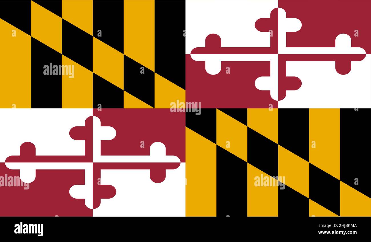 State of Maryland U.S. State Vector Illustration Stock Vector Image ...