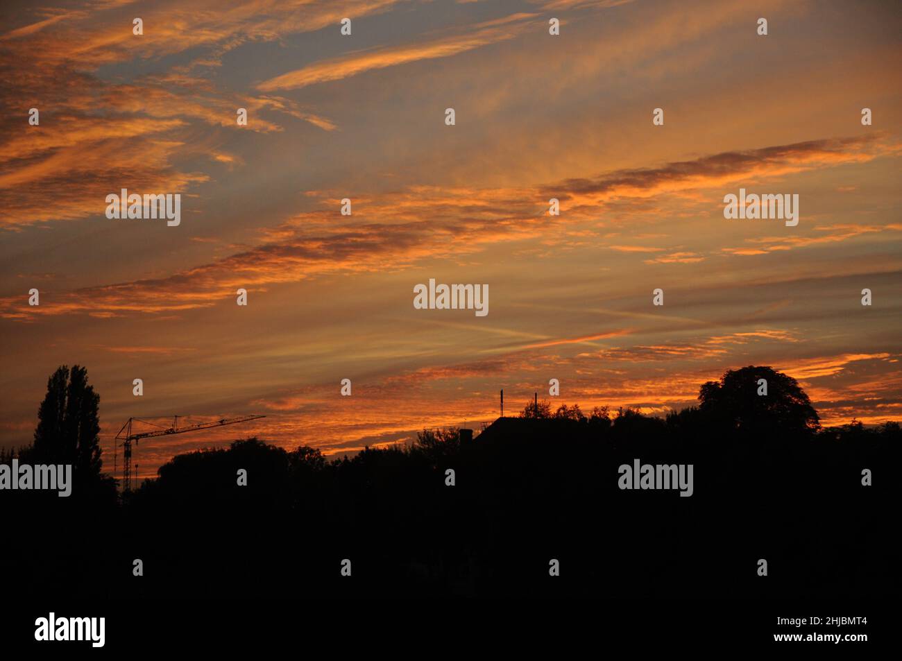 Silhouette of trees on sunset sky background Stock Photo - Alamy