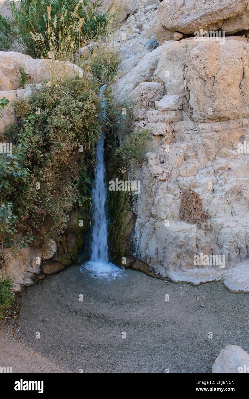 Oasis of En Gedi on the Dead Sea, Israel Stock Photo
