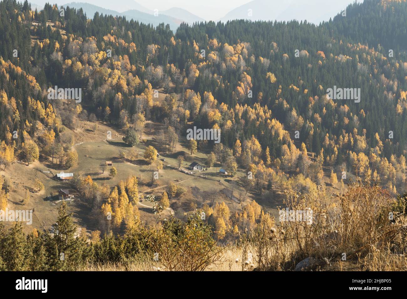 Mountain of Boge, Rogove surrounded by colorful forest in the autumn season Stock Photo