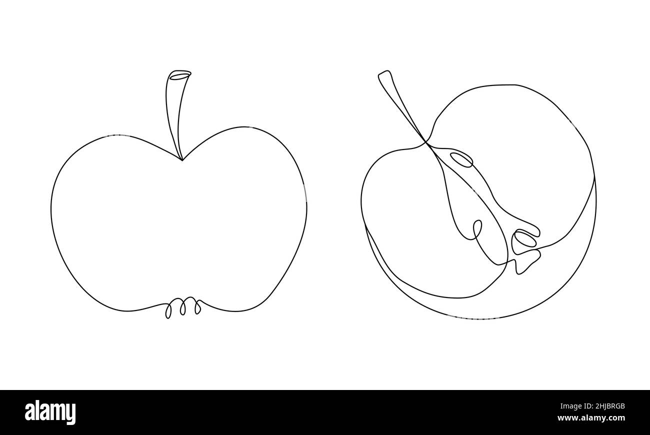 Apple silhouette in line art style. Whole and cut apple half in outline. Minimalist vector continuous line drawn fruit Stock Vector