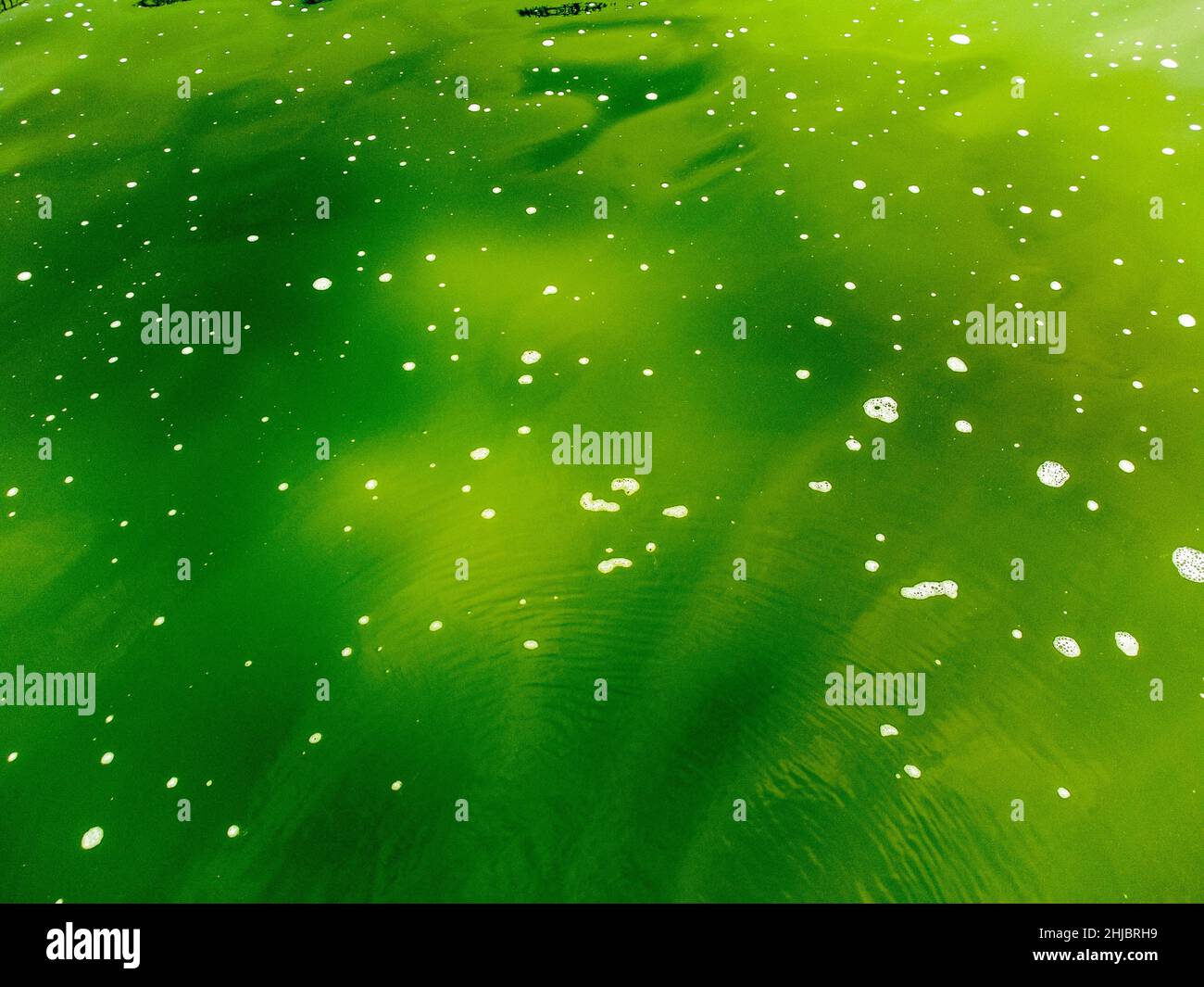 Green water tinted with yellow, green background Stock Photo Alamy