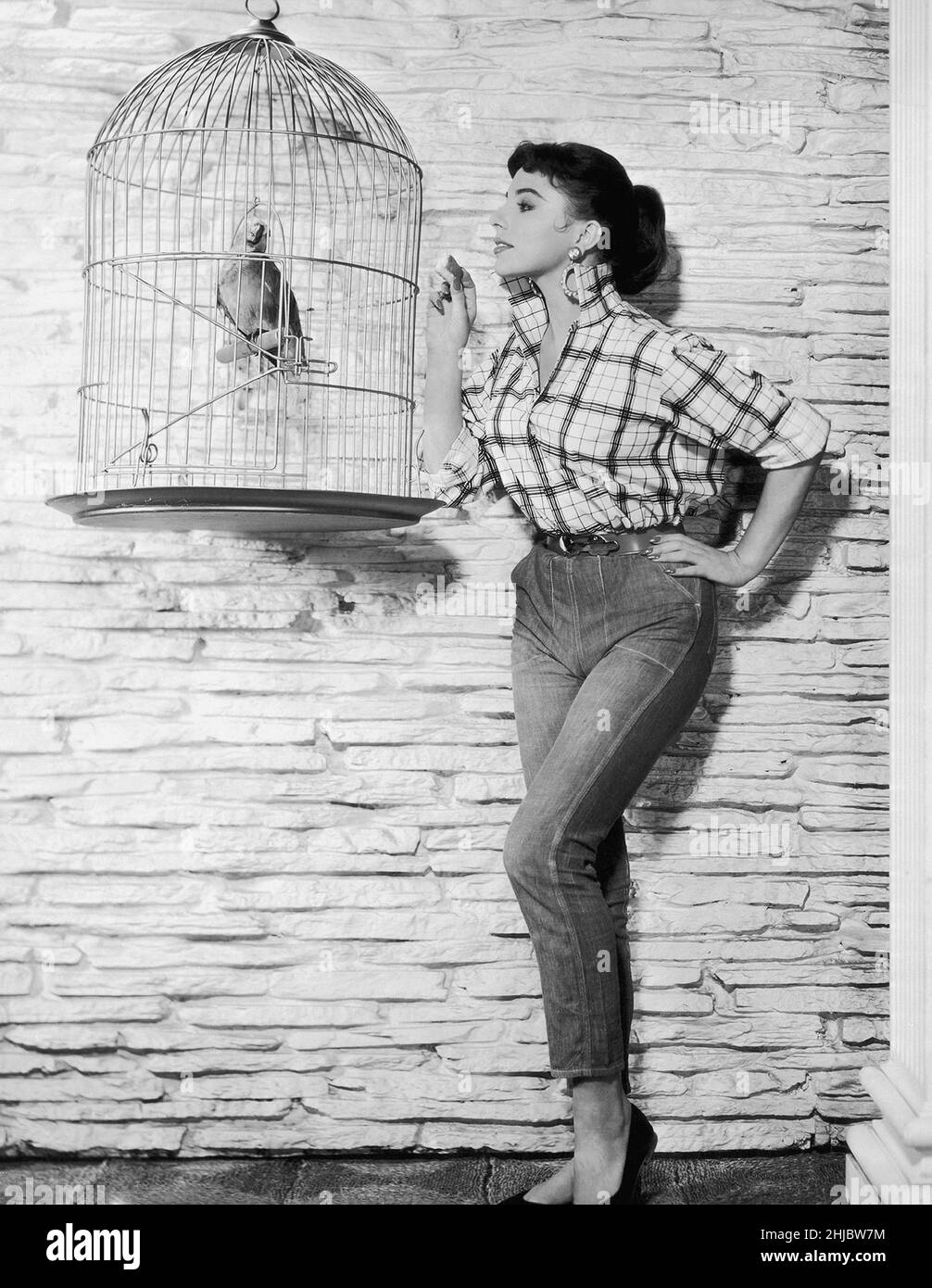 Joan Collins with a caged parrot Stock Photo