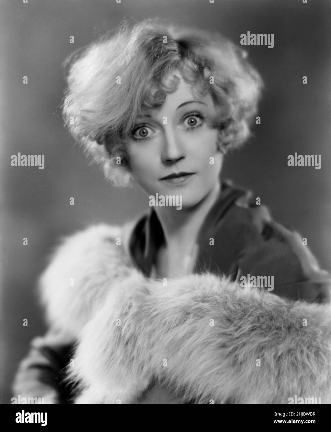 Marion Davies Not so Dumb USA, 1930 Director: King Vidor Stock Photo